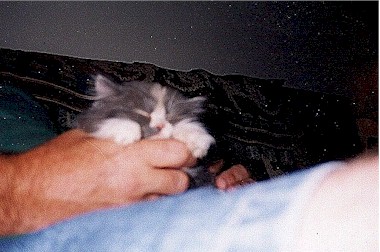 B5.jpg (101265 bytes)