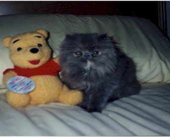 J1.jpg (150086 bytes)