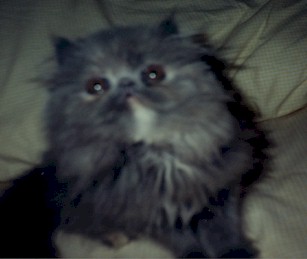 J2.jpg (236080 bytes)