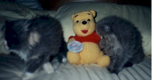 Jb1.jpg (218060 bytes)