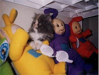 b6.JPG (154140 bytes)